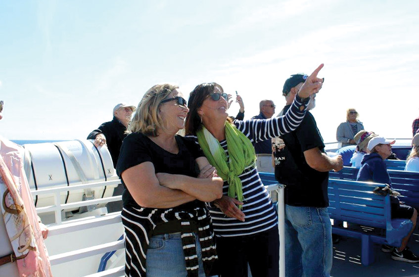 bi-windfarm-tour-sub-slider-2